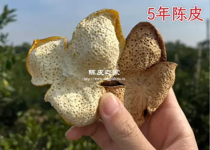 为何5年的新会陈皮性价比最高