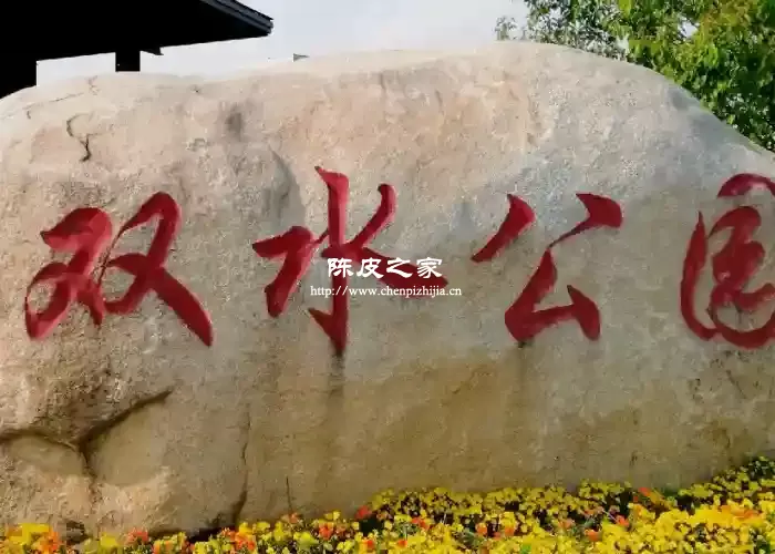 陈皮双水和天马的区别，究竟哪个产区陈皮更好