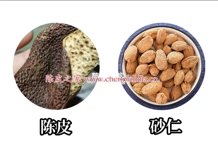 砂仁和陈皮一起泡水喝什么功效