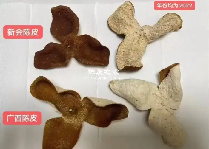 广西陈皮和新会陈皮的区别有哪些？4个方面详细对比！