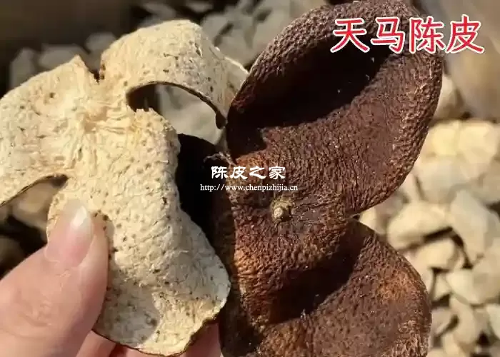 东甲陈皮和天马陈皮的区别，这4个方面都不同！