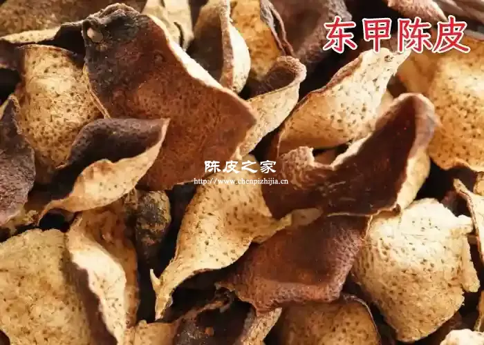 东甲陈皮