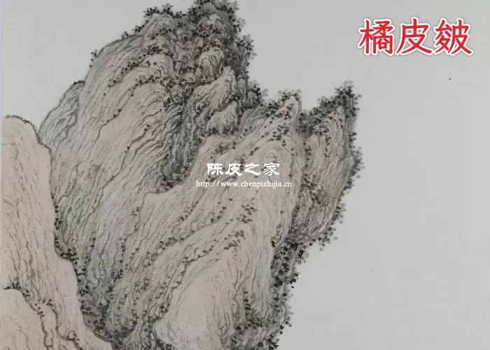 陈皮写生：清代画家笔下的“橘皮皴”技法