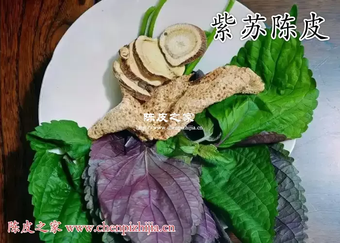紫苏陈皮搭配