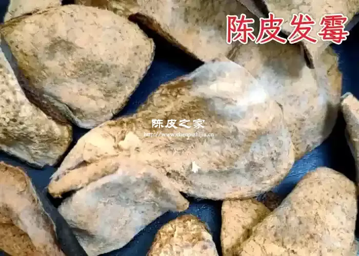 陈皮发霉后晒干还能食用吗？发霉陈皮的危害和正确存储方法！