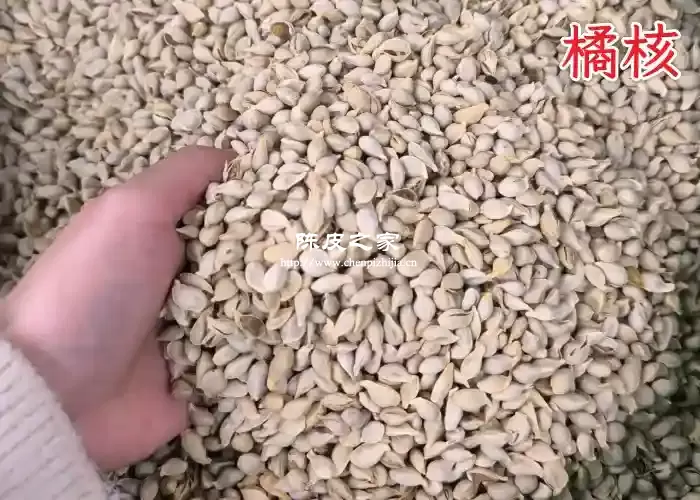 陈皮和橘核可以一起泡水喝吗？有什么功效与作用？