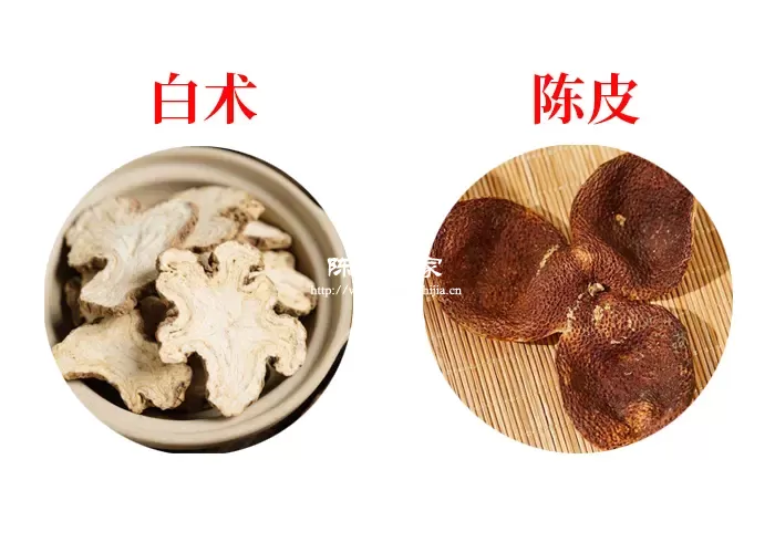 陈皮加白术泡水有什么禁忌？7大禁忌你一定要知道！
