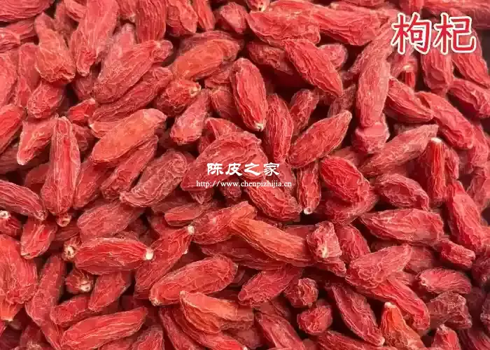枸杞图片