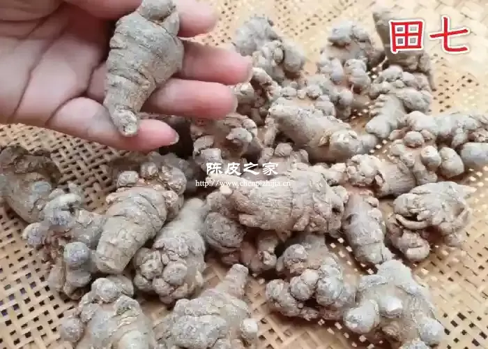田七和陈皮煲汤喝有什么好处和作用，你知道吗？