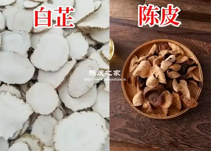 陈皮和白芷喝了会上火吗？有什么功效与作用？