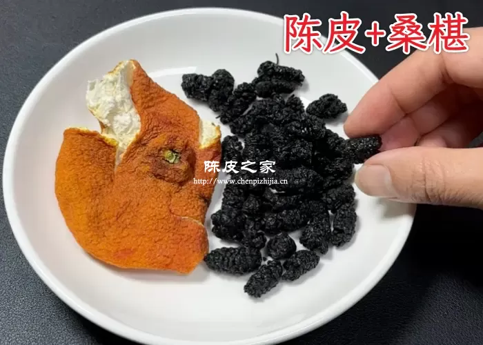 陈皮可以和桑葚一起撘配泡水喝吗？可以但注意这些问题？
