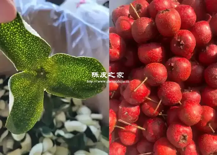 青皮陈皮山楂泡水喝的功效与作用