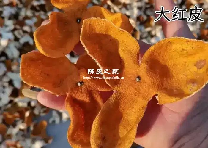 大红皮图片
