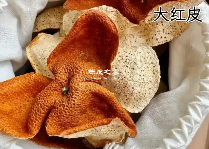 大红皮图片2