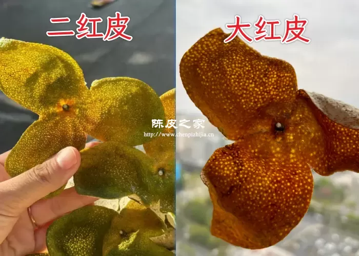 药用陈皮大红皮和二红皮哪个好