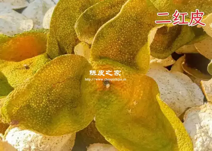 二红皮图片