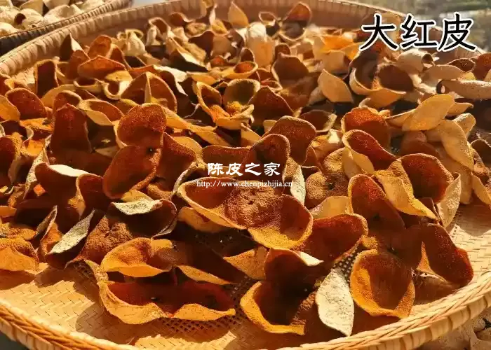 新会陈皮大红皮是最好的陈皮吗