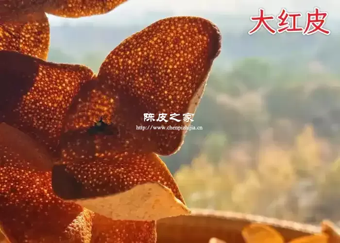 买了5年的大红皮再放5年有什么变化