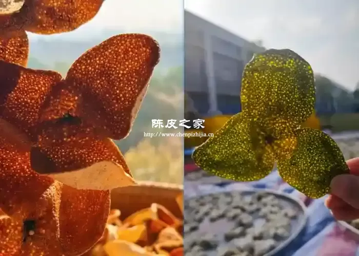 陈皮买大红皮好还是二红皮好