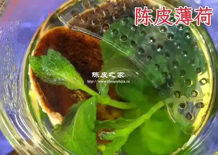 陈皮薄荷泡水图