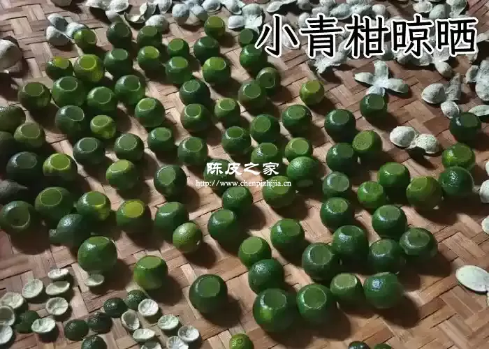 小青柑的价格是多少？小青柑采摘制作过程！