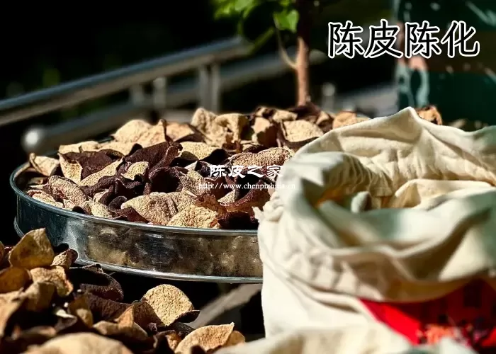 避光保存陈皮对陈化有利吗？还有哪些注意事项？