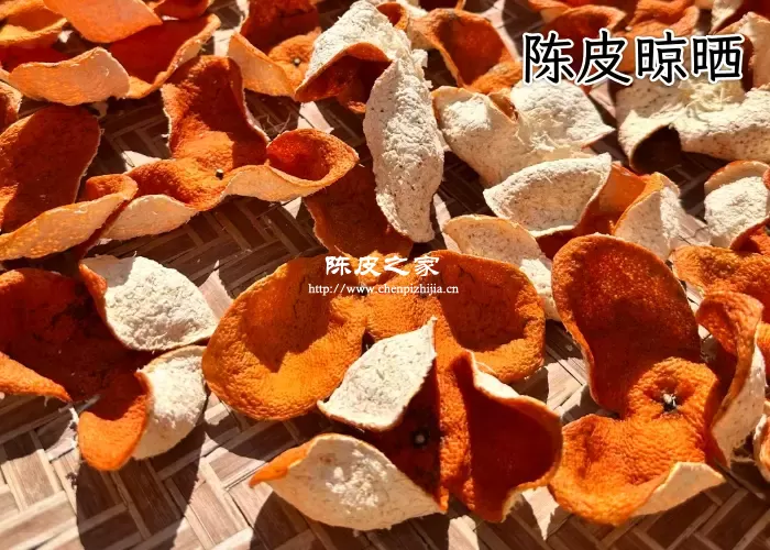 新会陈皮能不能暴晒,陈皮晾晒注意事项！