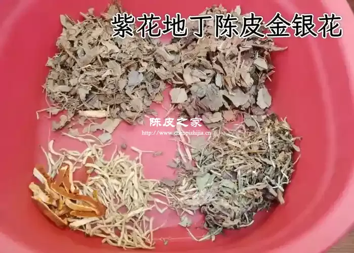 紫花地丁陈皮金银花一起泡水功效