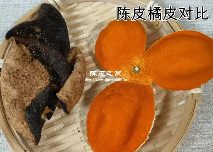橘子皮和陈皮是同一种东西吗