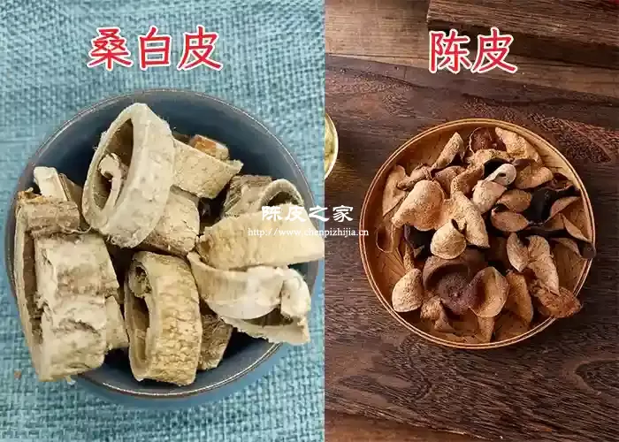 桑白皮陈皮泡水的功效与作用