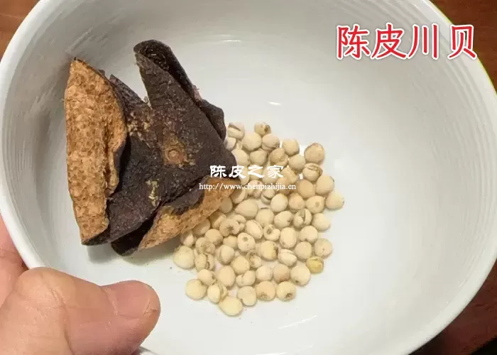 陈皮川贝一起泡水的好处是什么