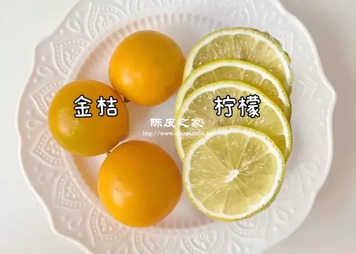 柠檬炖金桔陈皮有什么功效