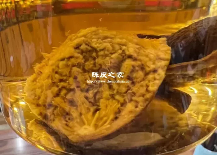 煮陈皮水放几克？煮陈皮的注意事项！