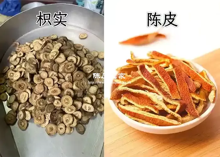 枳实加陈皮功效与作用究竟有哪些