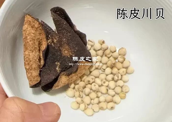 陈皮川贝搭配图