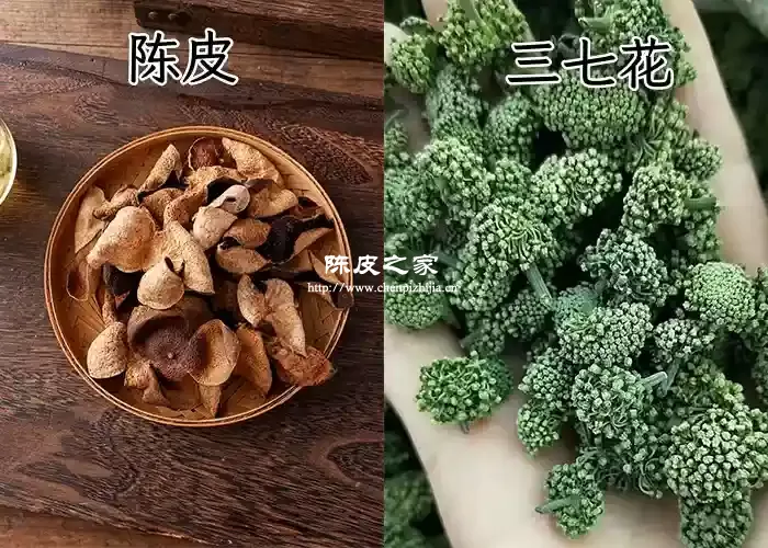 陈皮与三七花能一起泡水喝吗，有哪些功效与作用？