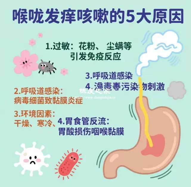 喉咙发痒的5大原因图
