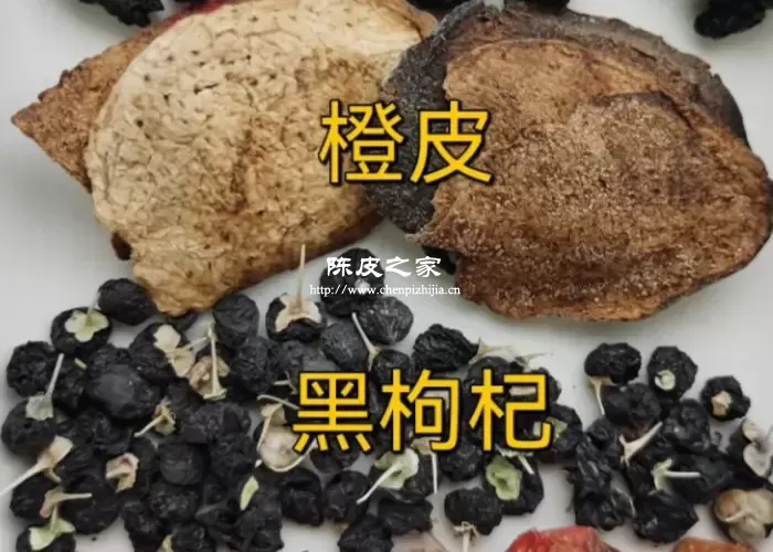 陈皮可以和黑枸杞一起泡水喝吗？陈皮黑枸杞功效与注意事项！