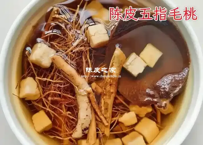 铁皮石斛可以和五指毛桃陈皮一起泡水喝吗