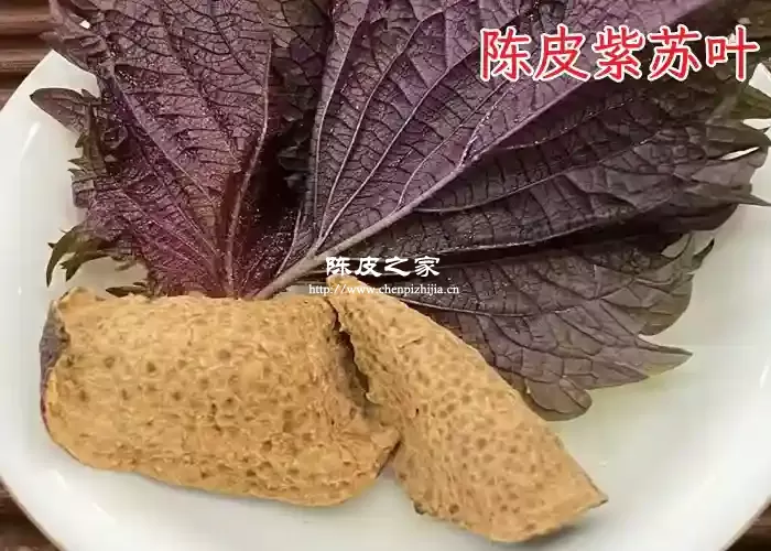 紫苏叶陈皮煮水用量，及陈皮紫苏煮水注意事项