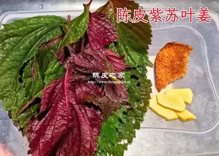 紫苏生姜陈皮煮水功效有哪些