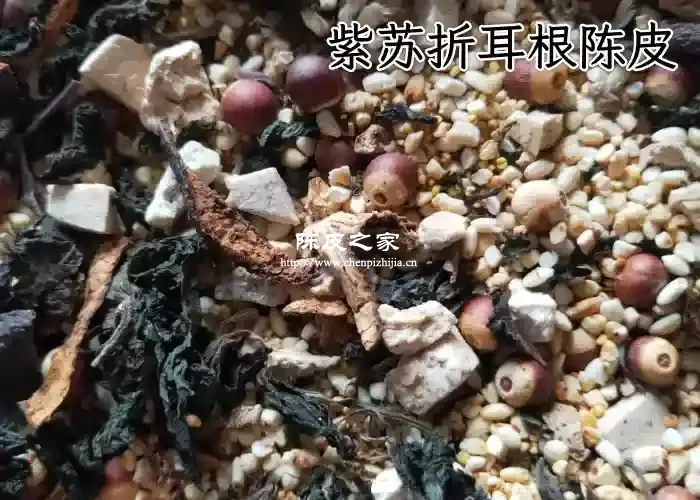 紫苏折耳根陈皮姜片熬水的制作方法和功效
