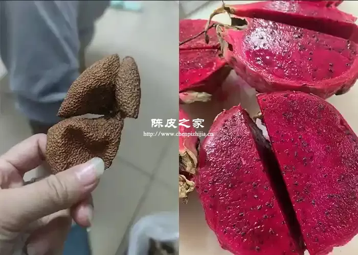 煮火龙果可以放陈皮吗？投放多少量合适？