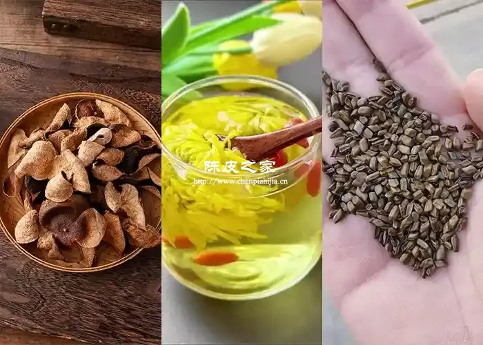陈皮决明子菊花杞子泡水的功效与作用有哪些