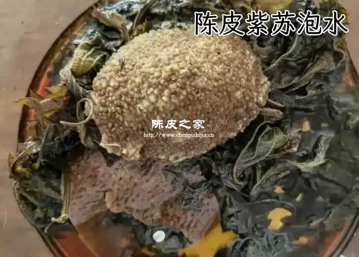 陈皮紫苏泡水喝