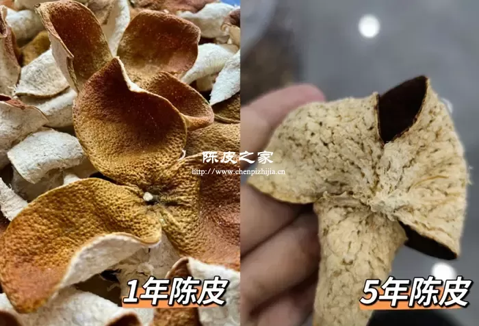 新陈皮和5年陈皮功效区别，及5年陈皮的详细功效