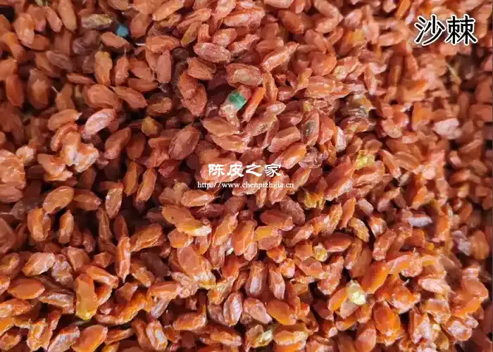 沙棘茯苓陈皮白扁豆甘草白扁豆的功效