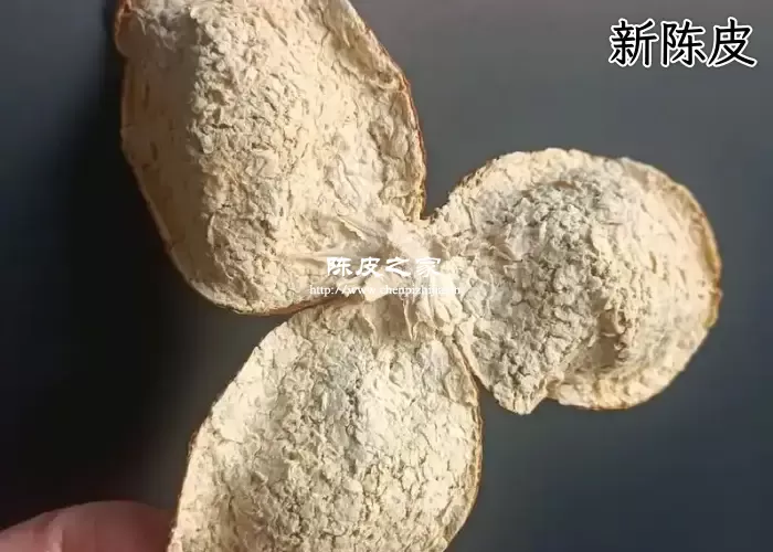 新会陈皮泡水会苦？原因在这里！