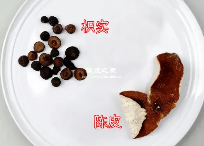 枳实和陈皮有什么功效与作用