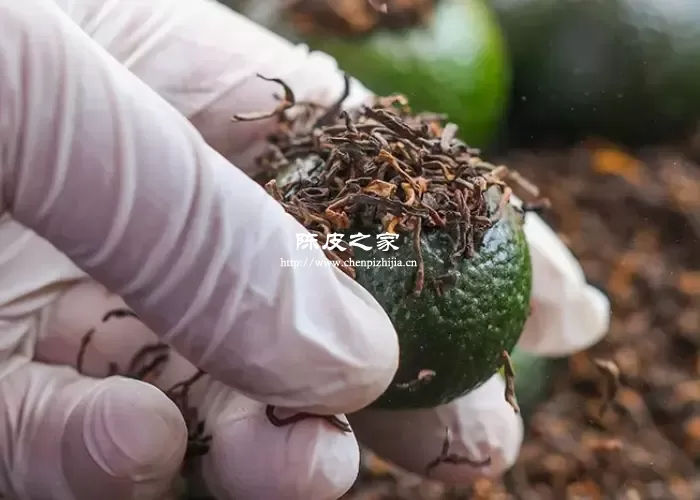 小青柑普洱茶越久越好吗？小青柑保存注意事项！